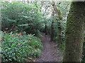 Pembrokeshire Coast Path near Saundersfoot