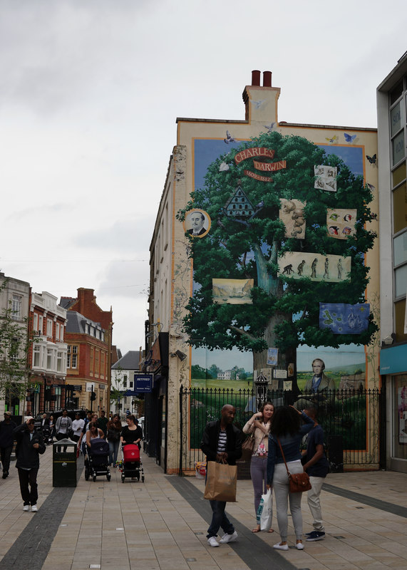 Charles Darwin Mural Bromley © Peter Trimming Geograph Britain And