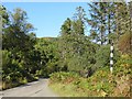 NM9710 : B840, Eredine Forest by Richard Webb