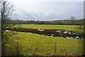 Pond by the Cambrian line