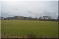 Inside the Roman Fort