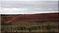 Disused clay pit near Merry Lees