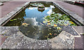 Reflection, Garden of Remembrance, Broomfield Park, London N13