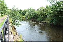NS5225 : River Ayr at Catrine by Billy McCrorie