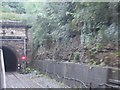 View from a Bristol-Cardiff train - Severn Tunnel entrance, Welsh side