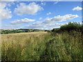 View towards Leavening Brow