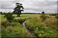 East Devon : River Clyst