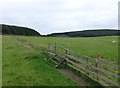 Looking across the pasture 