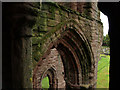 Detail of Arch, Arbroath Abbey