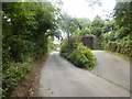 SW3923 : The lane to Penberth by David Medcalf