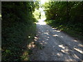 Bridleway south of Buddington Bottom