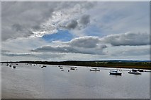 SX9687 : Topsham: The River Exe from Topsham Quay by Michael Garlick