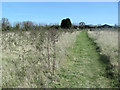 Looking towards Beeches Farm, Drayton Beauchamp