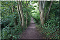 Coastal path towards Luccombe Village