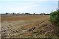 Fields near Wells Farm