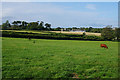 Fields on the edge of Llantwit Major