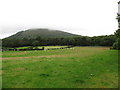 The walls of Mourne Park estate viewed from Tullyframe Road