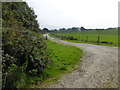 The lane to Rissick