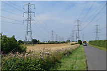 SK8070 : Pylons near High Marnham by J.Hannan-Briggs