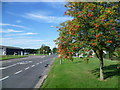 First Avenue, Stansted Airport