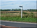 Signpost to Vicarage Lane