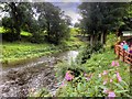 River Calder, Looking Downstream from Read Garden Centre