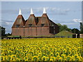 Oast House at Little Mill Farm, Underlyn Lane, Marden