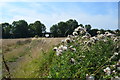 Distant railway bridge