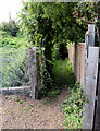 Narrow track near a Brading level crossing