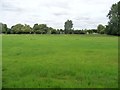 TM0880 : Former nursery land, Bressingham Estate by Christine Johnstone