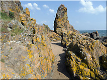 NH7661 : Coastal rocks below Craighead by Julian Paren