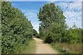 Path around the Clockhouse Lake