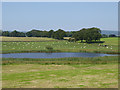 Murder Loch, Shieldhill