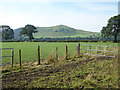 Field near Dalfibble