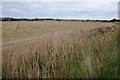 Stubble field near Binham