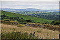 West Devon : Dartmoor Scenery