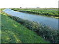 TL2389 : The River Nene (Old course) east of Old Decoy Farm by Richard Humphrey
