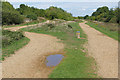 Paths, Bedfont Lakes Country Park