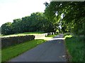 Stone wall surrounding Thirlings