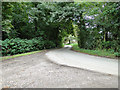 A country lane as it passes Grey