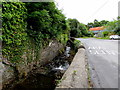 Stream below Heol y Parc Llangennech