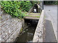 Stone slab footbridge over a stream, Llangennech