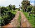 Track towards The New Road, Peterstow