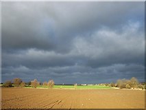 TF1021 : Storm over the fen at Bourne, Lincolnshire by Rex Needle