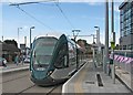 Chilwell: High Road Central College tram stop on opening day