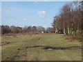 Track to Streetly Lane, Sutton Park northeast