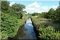 Sankey Brook, Warrington