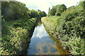 Sankey Brook, Warrington