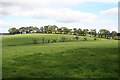 Fields near Linhouse