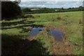 Field near Pennymoor